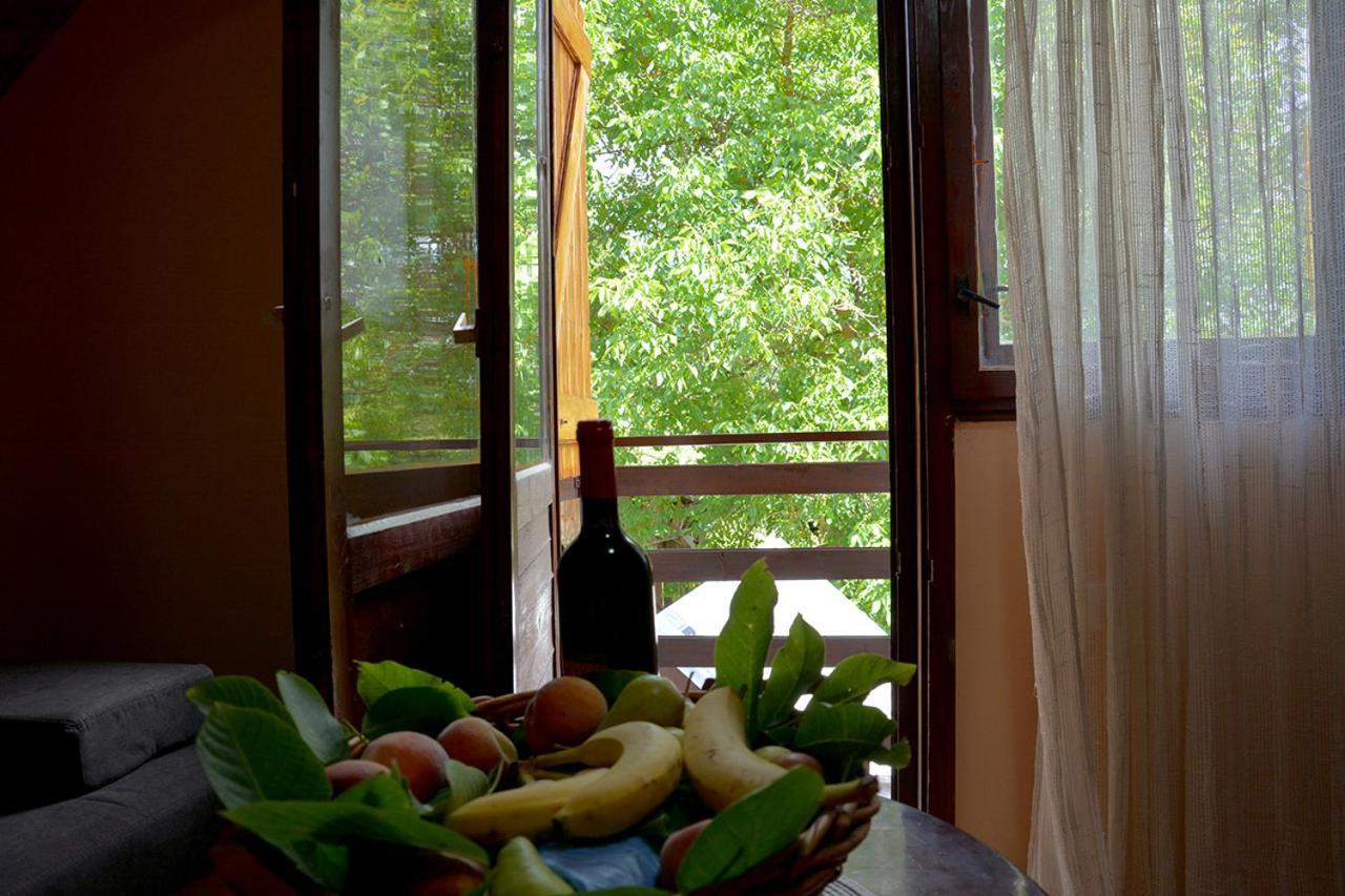 Appartement Danilovica Kuca à Bioska Extérieur photo